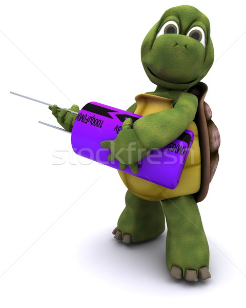 tortoise with a capacitor Stock photo © kjpargeter