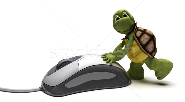 Tortoise with a computer mouse Stock photo © kjpargeter