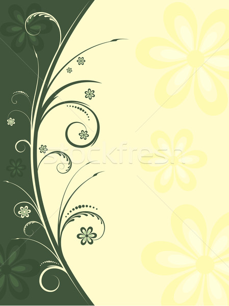 Floral fleurs printemps usine vecteur illustration Photo stock © kjpargeter