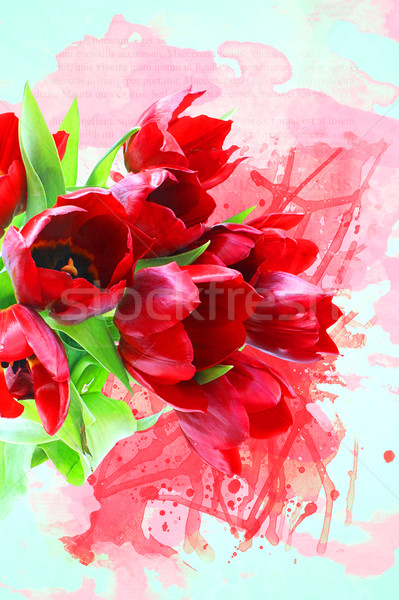 Grunge lale stil görüntü suluboya çiçek Stok fotoğraf © kjpargeter