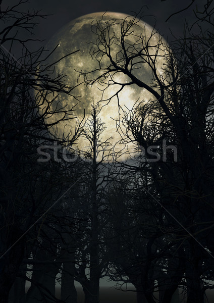 égbolt ijesztő fák halloween Stock fotó © kjpargeter