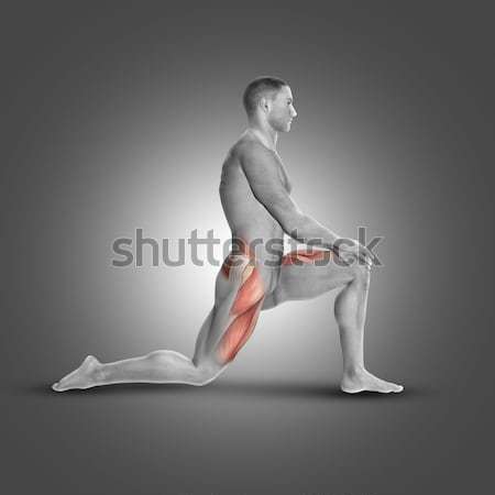 3D male figure with muscle map in yoga pose Stock photo © kjpargeter
