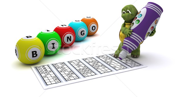 Tortoise playing bingo Stock photo © kjpargeter