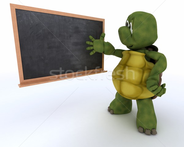 tortoise with school chalk board Stock photo © kjpargeter