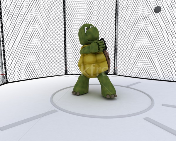 tortoise competing in hammer throw Stock photo © kjpargeter