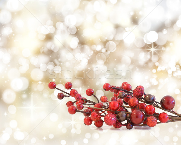 Foto d'archivio: Natale · frutti · di · bosco · bokeh · luci · stelle · star