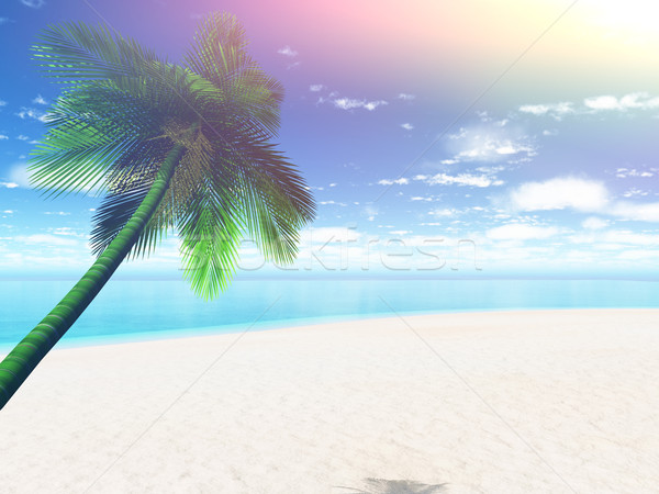 Foto stock: 3D · palmeira · paisagem · retro · efeito · 3d · render