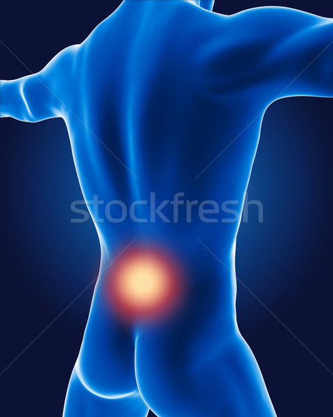 Foto stock: 3D · médico · homem · esqueleto · coluna · interior