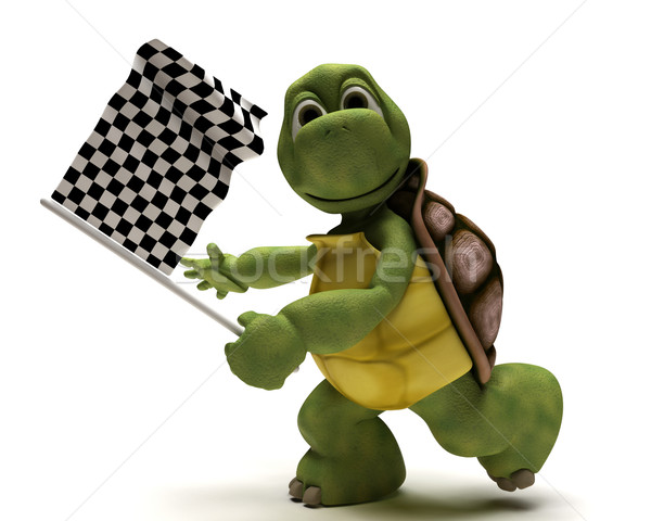 Stock photo: Tortoise with a chequered flag