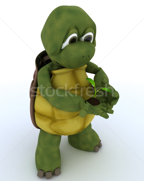 tortoise nurturing a  seedling plant  Stock photo © kjpargeter