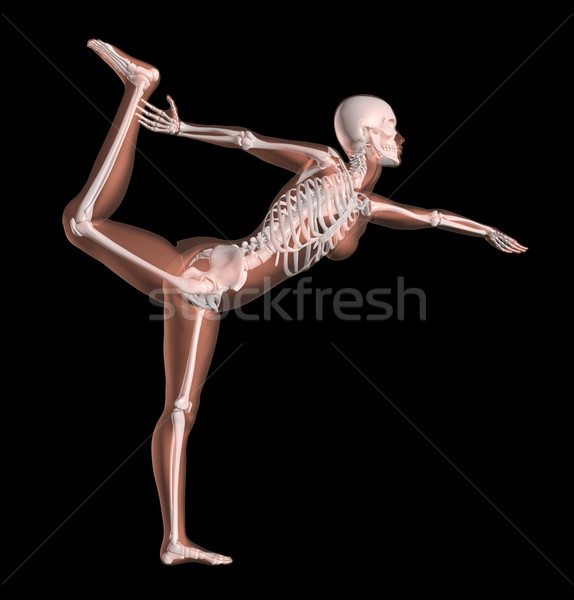 Photo stock: Homme · squelette · yoga · poste · rendu · 3d · médicaux