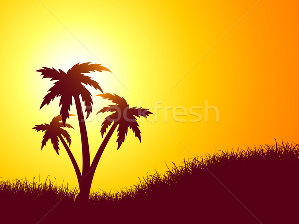 Zdjęcia stock: Lata · scena · palm · drzewo · słońce · streszczenie