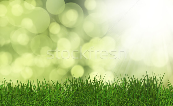 Grass on a defocussed green background Stock photo © kjpargeter