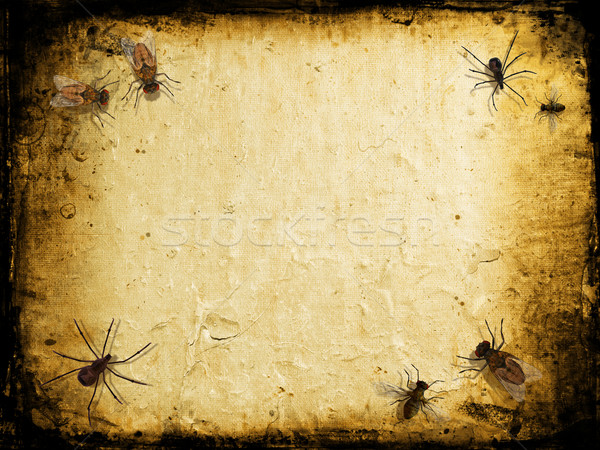 Grunge insects Stock photo © kjpargeter