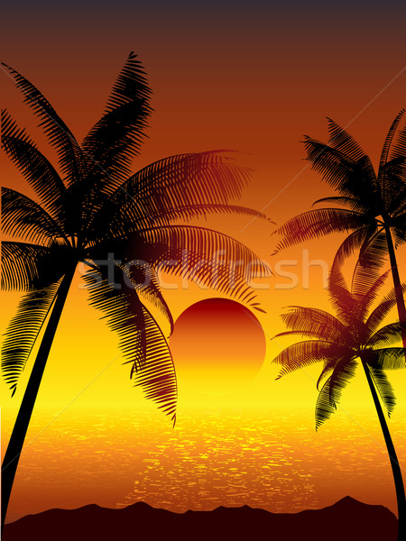 Stok fotoğraf: Tropikal · gün · batımı · palmiye · ağaçları · ağaç · deniz · arka · plan