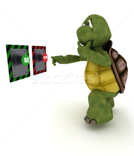 черепаха кнопки 3d визуализации воды оболочки Сток-фото © kjpargeter