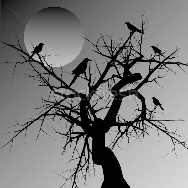 Stockfoto: Scary · boom · natuur · najaar · silhouet · kraai