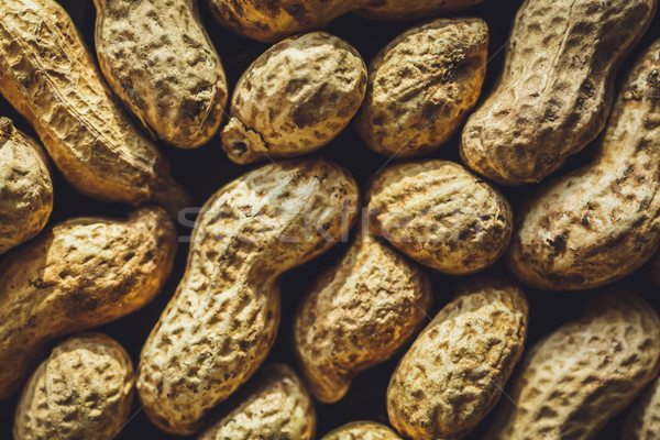 Fresh peanuts in shell Stock photo © kkolosov