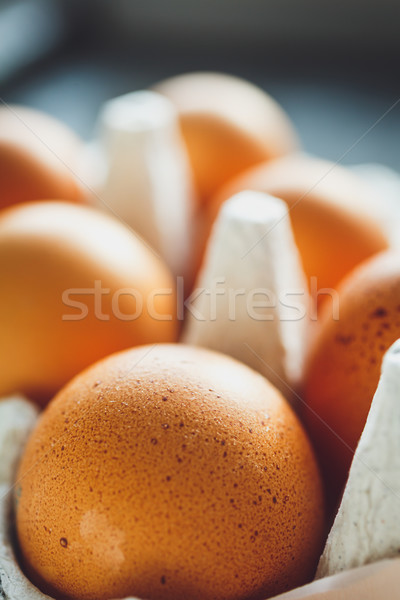 [[stock_photo]]: Poulet · oeufs · oeuf · plateau · coup