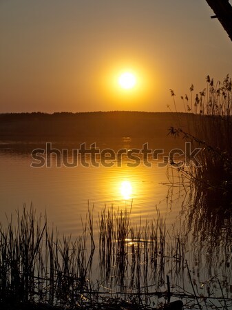 sunset background Stock photo © klagyivik