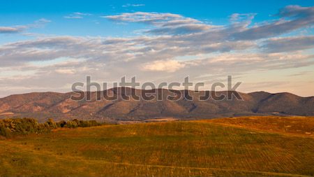 山 フィールド ツリー 風景 リラックス 日の出 ストックフォト © klagyivik