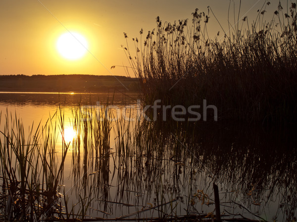sunset background Stock photo © klagyivik
