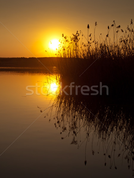 Pôr do sol céu água sol natureza fundo Foto stock © klagyivik