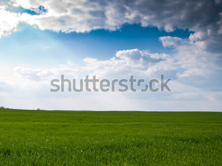 Yeşil alan çim doğa manzara yaz Stok fotoğraf © klagyivik