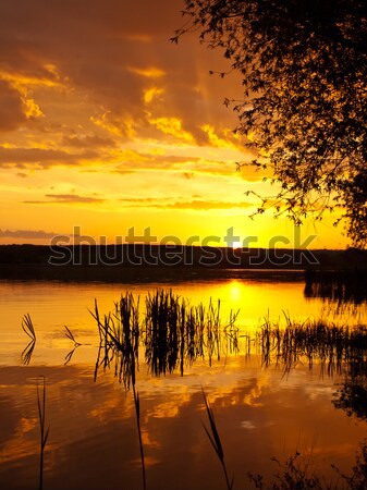 Pôr do sol água primavera espaço nascer do sol lago Foto stock © klagyivik