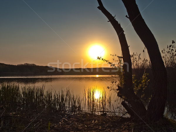 Gün batımı göl Stok fotoğraf © klagyivik