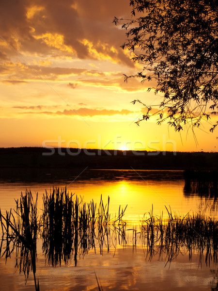 sunset background Stock photo © klagyivik