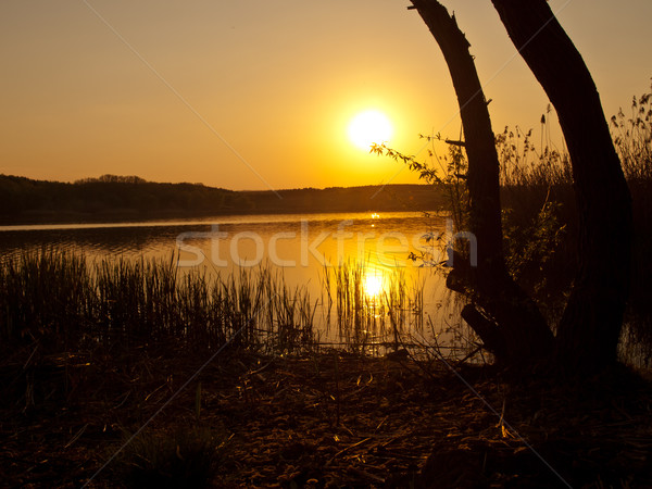 sunset background Stock photo © klagyivik