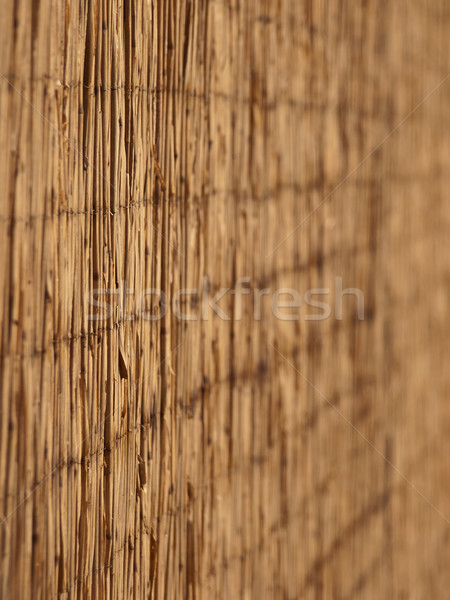 reed background Stock photo © klagyivik