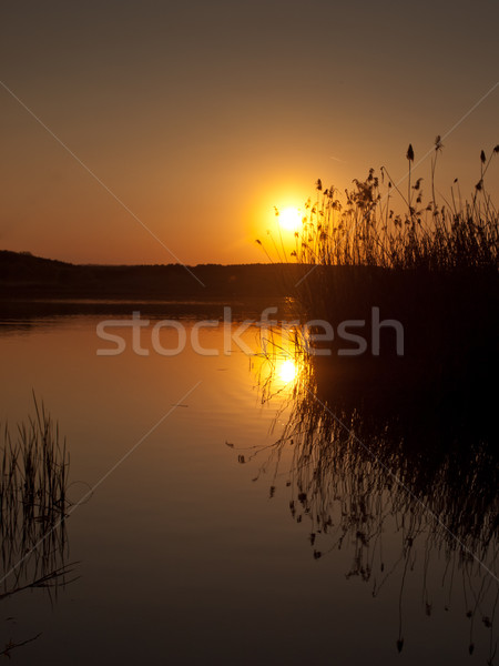 sunset background Stock photo © klagyivik