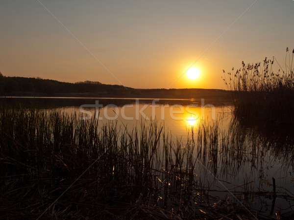 Pôr do sol céu água sol natureza fundo Foto stock © klagyivik