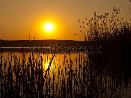 Pôr do sol céu água natureza fundo espaço Foto stock © klagyivik