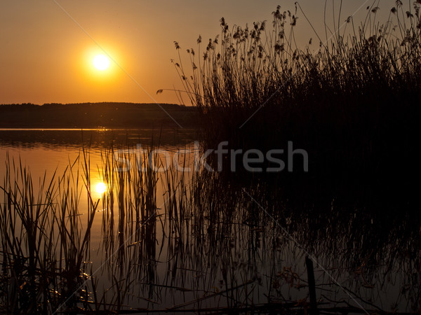 Pôr do sol céu água sol natureza fundo Foto stock © klagyivik