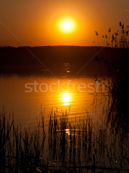 sunset background Stock photo © klagyivik