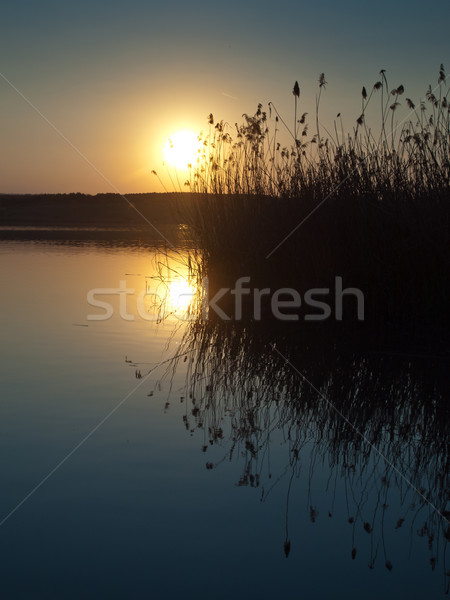 água sol pôr do sol espaço lago outono Foto stock © klagyivik