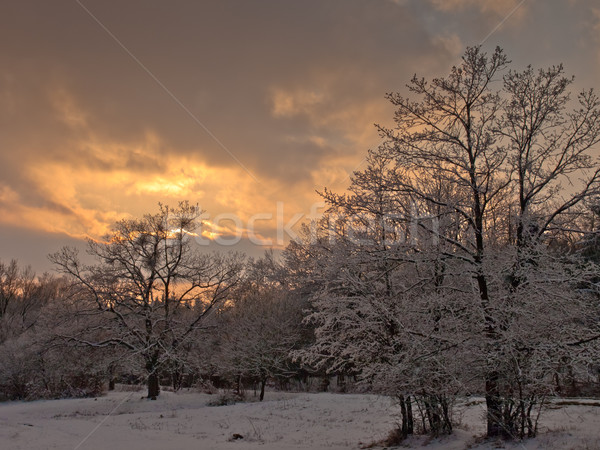 Gün batımı güneş manzara ışık kar buz Stok fotoğraf © klagyivik