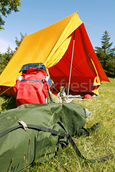 Camping plaats mooie natuurlijke heldere zomer Stockfoto © klikk