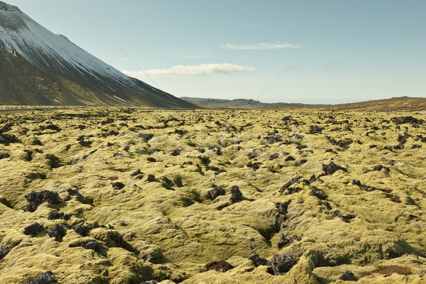 Icelandic landscape Stock photo © klikk