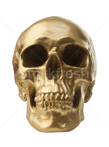 Golden skull on white background Stock photo © klikk