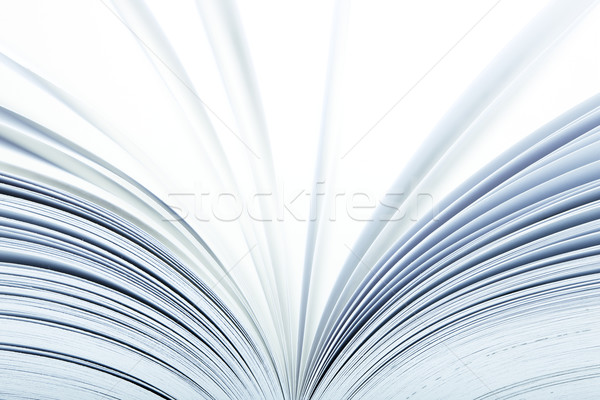 Close up of a open book Stock photo © klikk