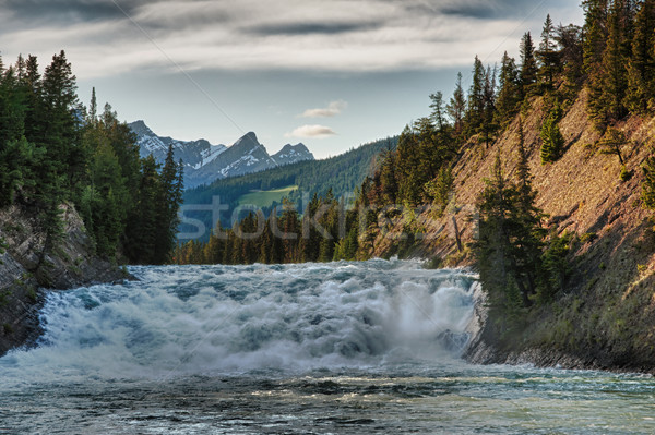 Rapid on the river during sunset near Banff in Canada. Stock photo © Klodien