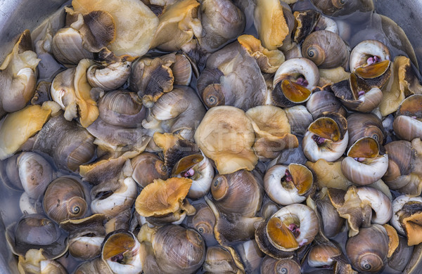 Vietnam Dong Hoi market - Sea snails or marine gastropod mollusks Stock photo © Klodien