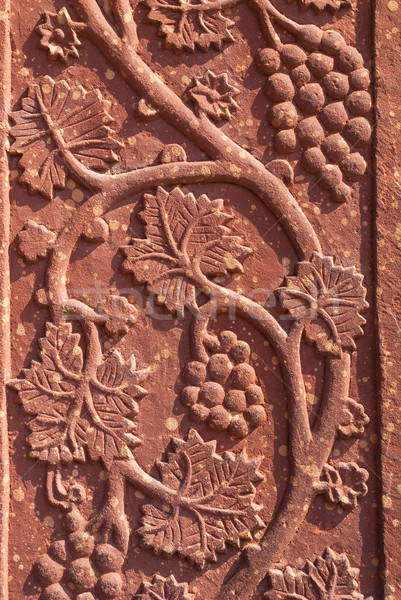 Mural sculpture of grape vines in red standstone at Fatehpur Sik Stock photo © Klodien