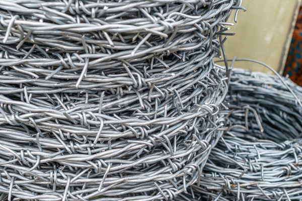 Barbed wire roll. Stock photo © Klodien
