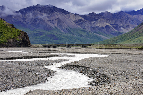 Big river reduced to small meander creek in the summer at Denali Stock photo © Klodien