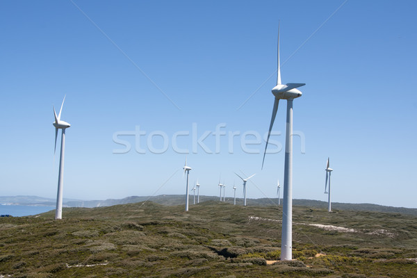 Windmühle Park Klippen Ozean ausgesetzt maximale Stock foto © Klodien